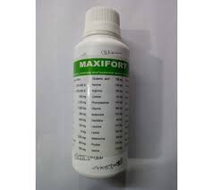 Maxifort Multivitamin 100ml Lequied