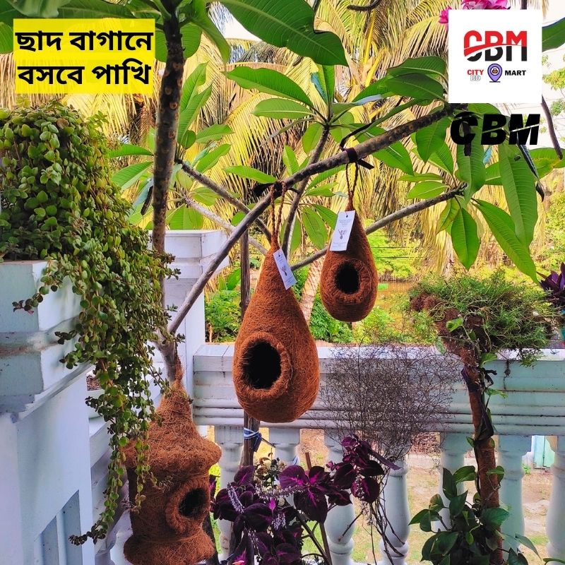 Organic handmade bird nest Large size 1 Pcs - Pakhir basha. 