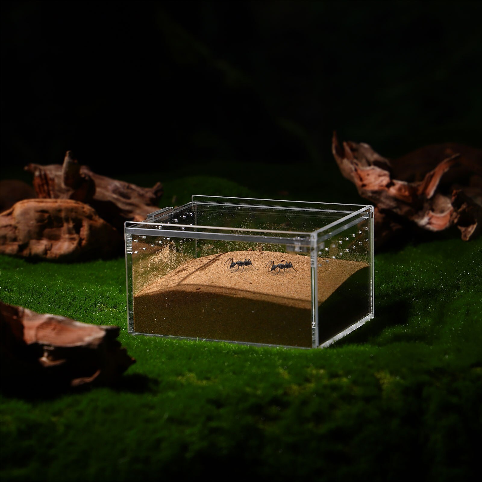 1pc Reptile Enclosures Cricket Home Box with Lid Spider Terrarium Reptile Box Cricket Container. 