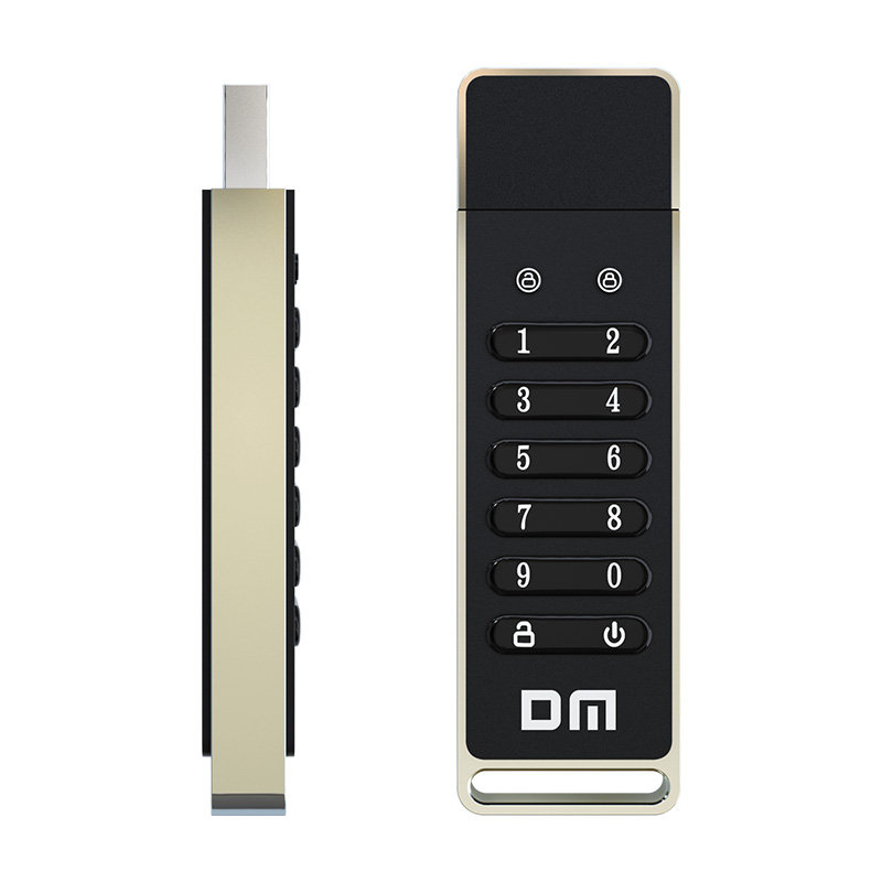 DM FD063 256-bit Encrypted USB Drive Password Secure Flash Drive USB3.2 U Disk Support Reset/Wipe/Auto Lock Function. 