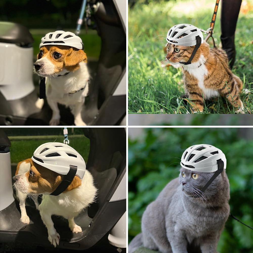 for Small Puppy Cat Motorcycle Dog Helmet White Small Cat Helmet with Adjustable Belt Head Protection. 