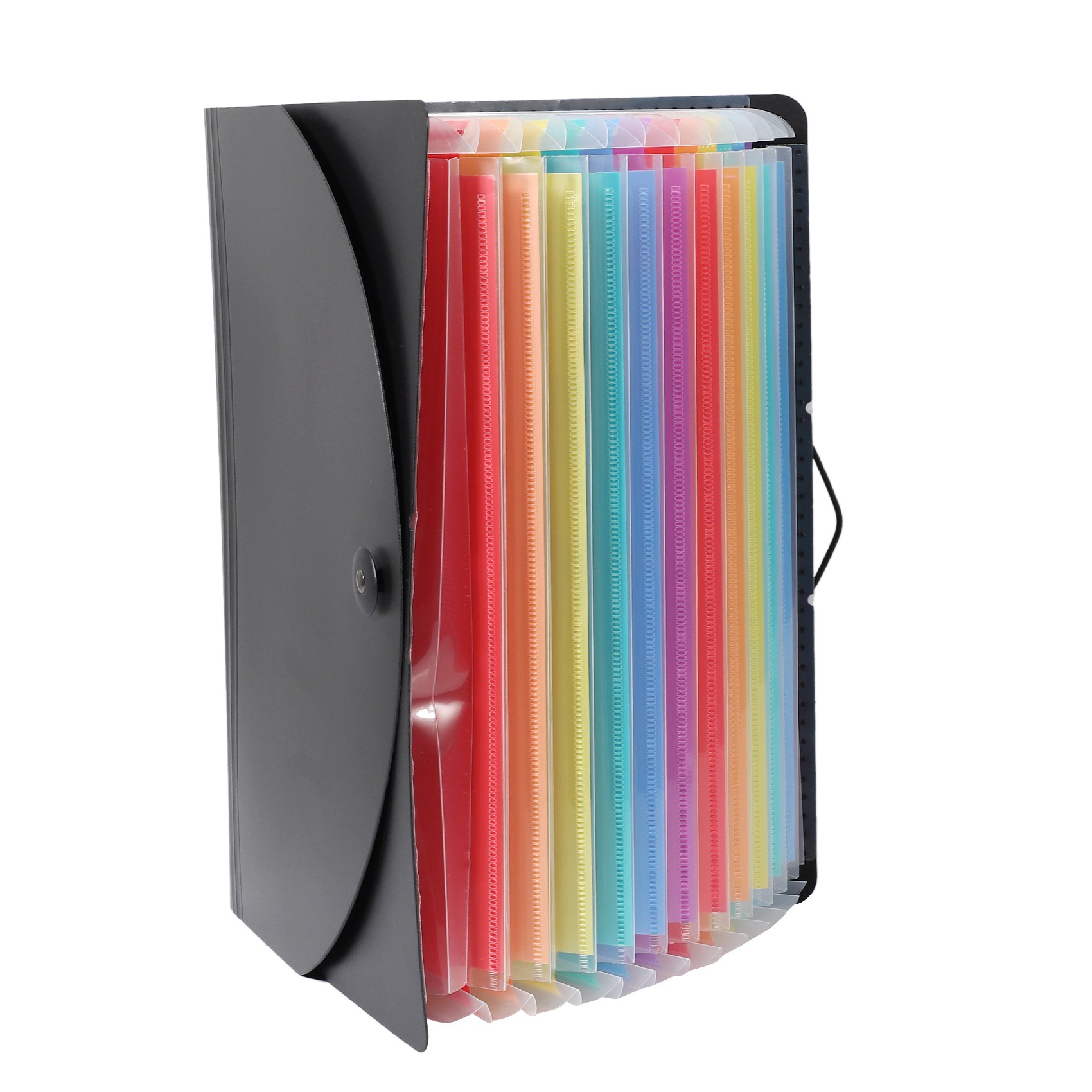 Expanding File Folder A4 Letter Size Document Holder with 12 Pockets ...