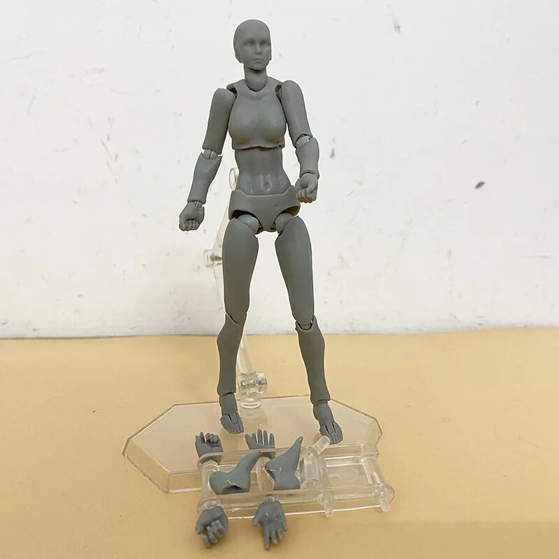 BODY KUN BODY CHAN Action Figure Figma Archetype He She Ferrite Collectible Model Toy with Stand Doll. 