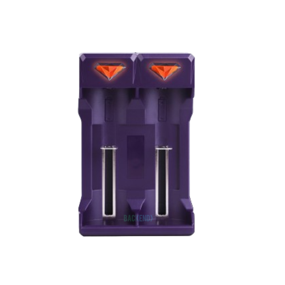 Doublepow DP-UK201 Multi-functional 2 Slots AA AAA Rechargeable Battery Charger