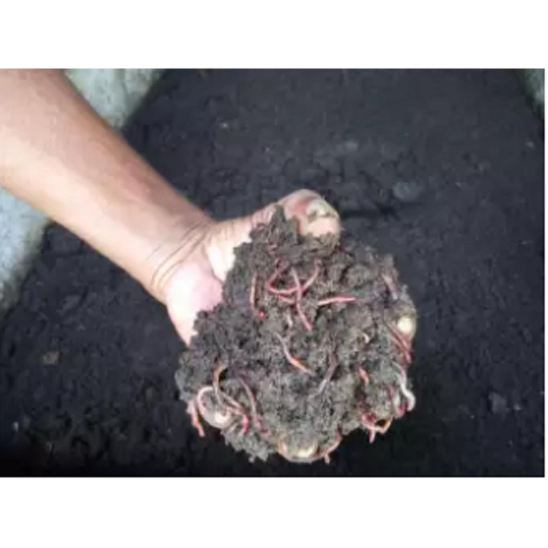 Vermicompost  - 5Kg. 