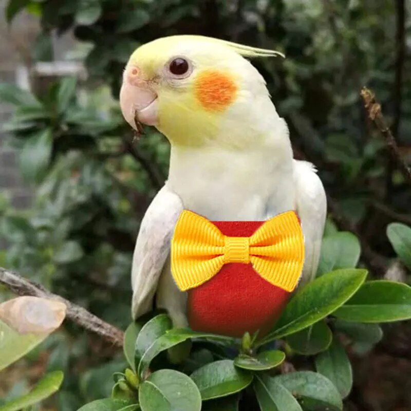 1PC Bird Parrot Diaper with Bowtie Cute Flight Suit Nappy Clothes for Green Cheek Conure Parakeet Pigeons Medium Large Pet Bird. 