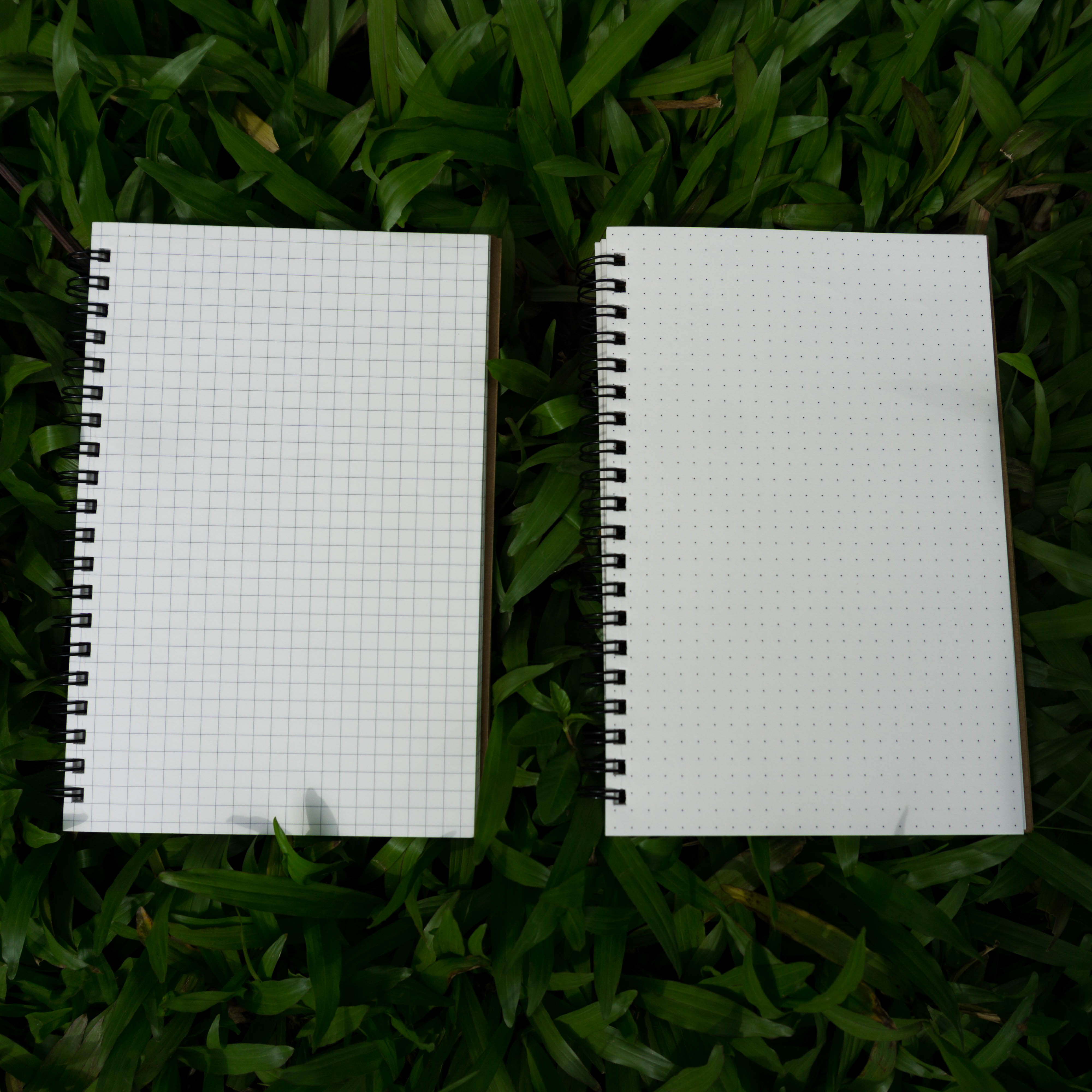 Designer Series Dot-Grid & Graph/Grid Notebook 2-Pack. 