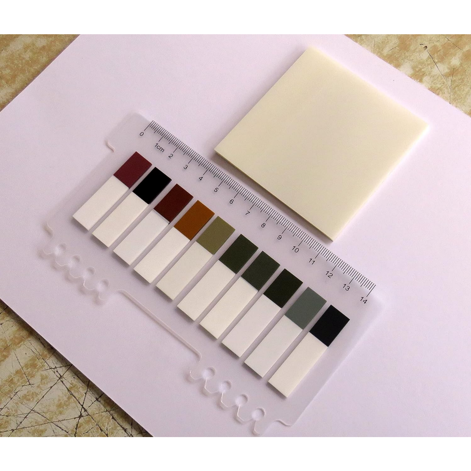 Morandi European 200 Tabs and Transparent Sticky Notes. 