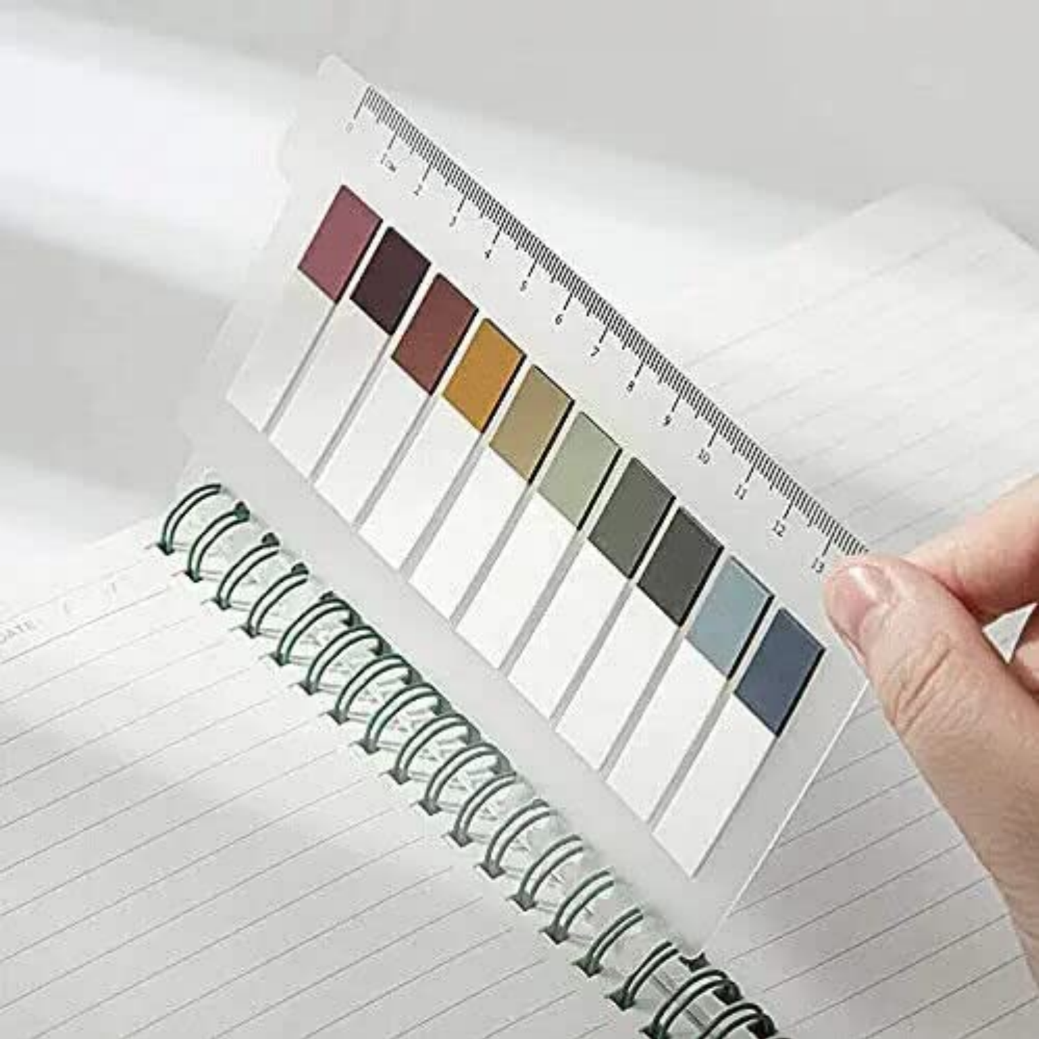 Morandi European 200 Tabs and Transparent Sticky Notes. 