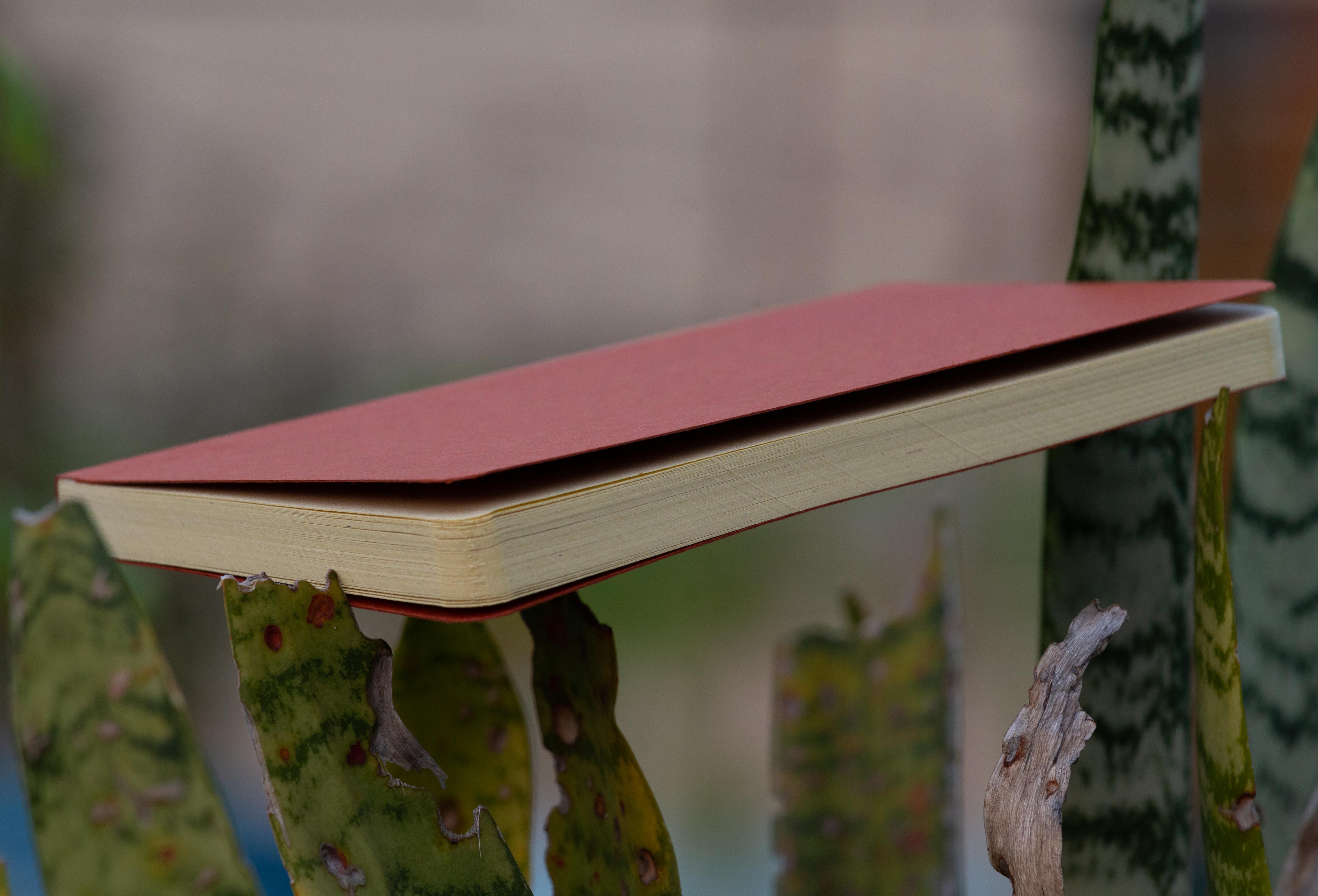 Tent Series Yellowish Page Hand Made Pinewood Texture Cover Notebook. 