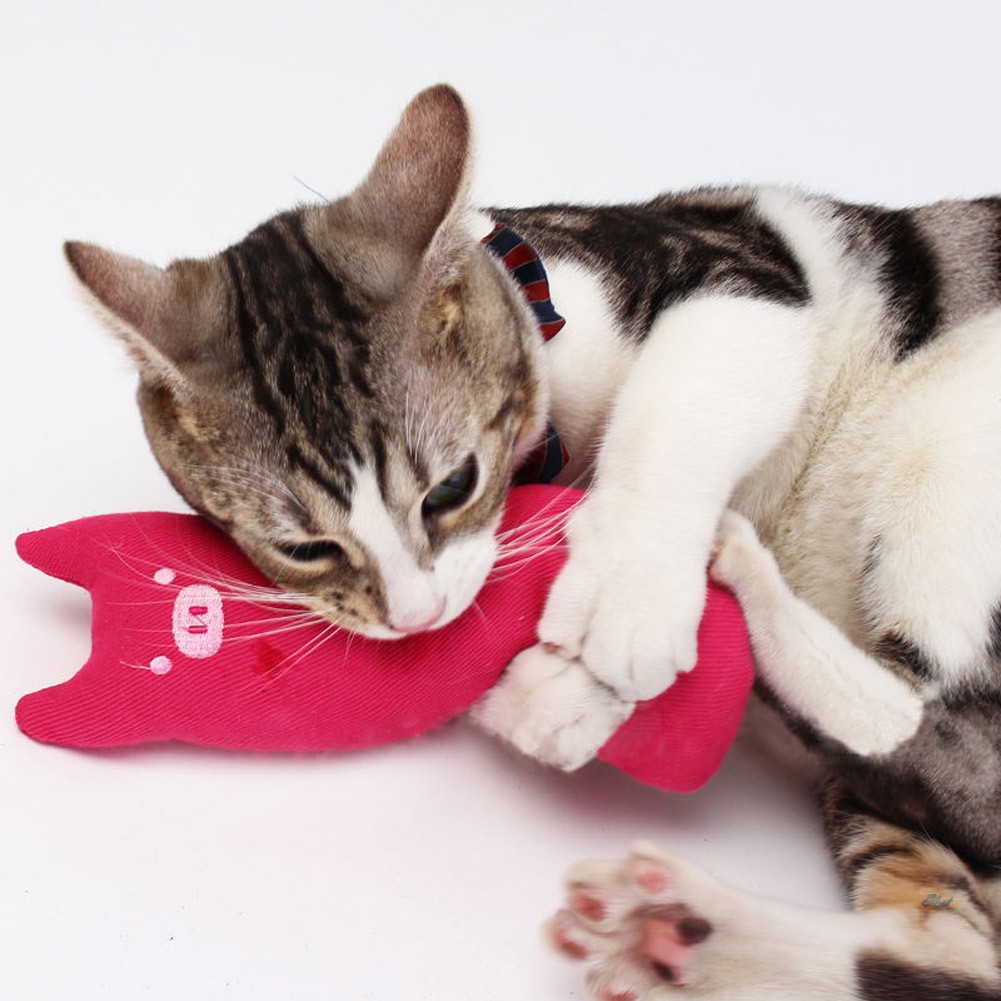 [SY] Cute Pillow Scratch Crazy Cat Kicker Catnip Toy Teeth G. 