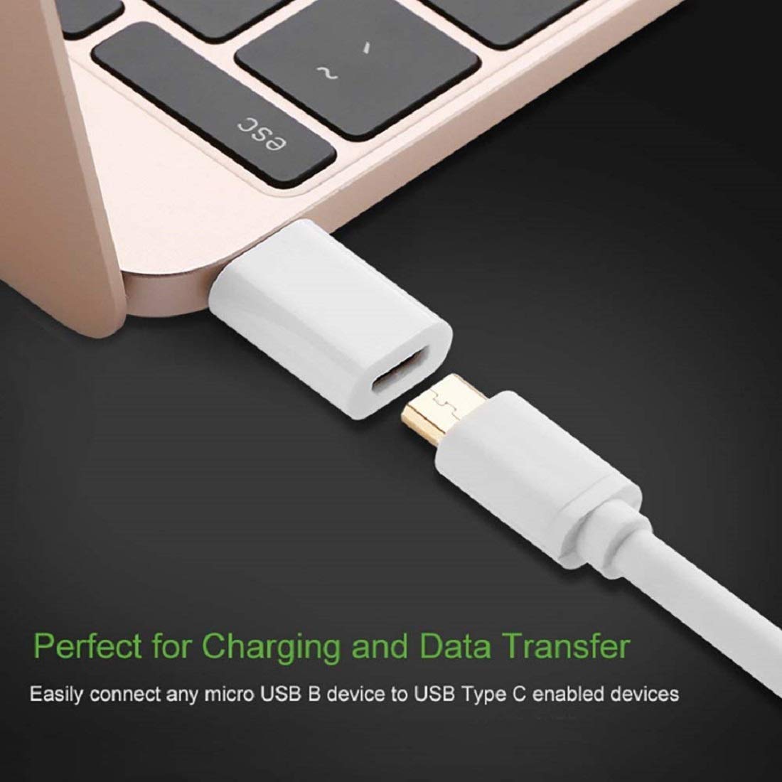 Micro USB to type C converter. 