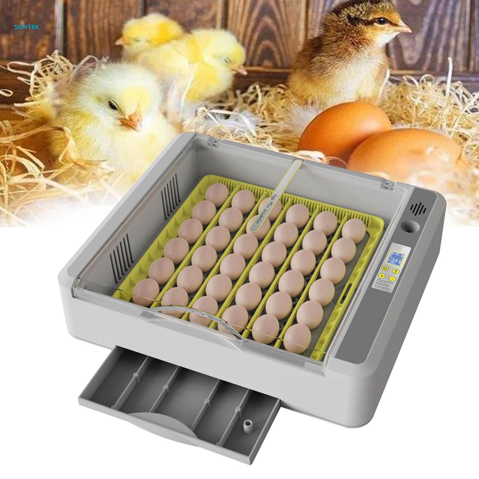 Egg Durable Chicken Quail Eggs for Goose Turkey Quail. 
