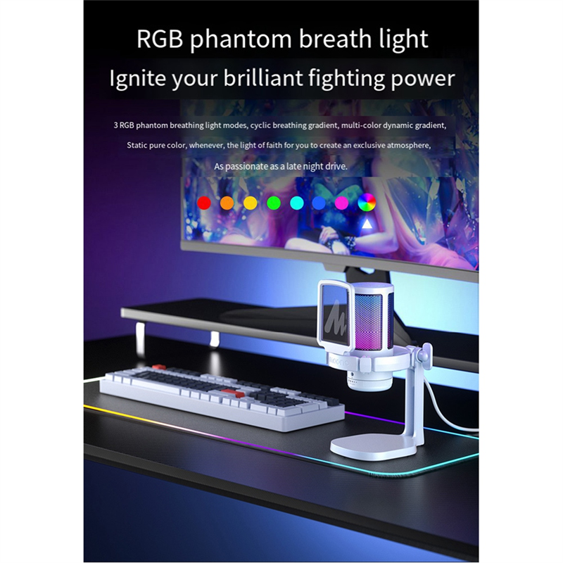 DGM20 USB Microphone RGB Condenser Mic Gaming Microphone with Noise Reduction Software for Game Live Recording Black 1 Piece. 