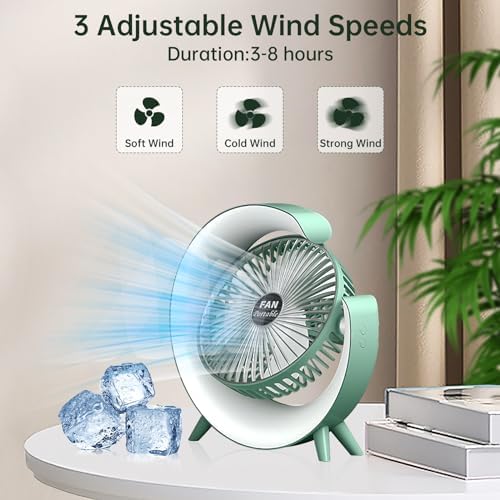 Portable Desk Fan with LED Light Cooling Fan | MNK SHOP. 