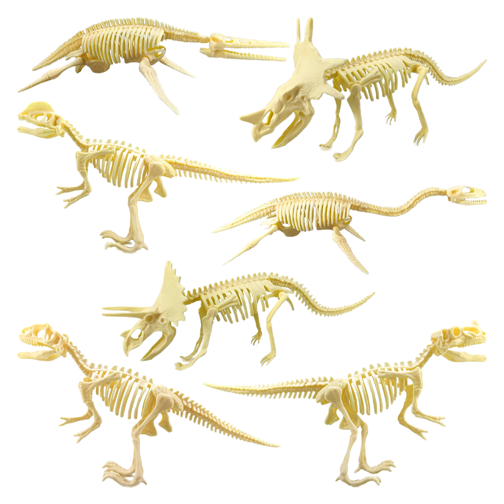 Tyrannosaurus Skeleton Toy