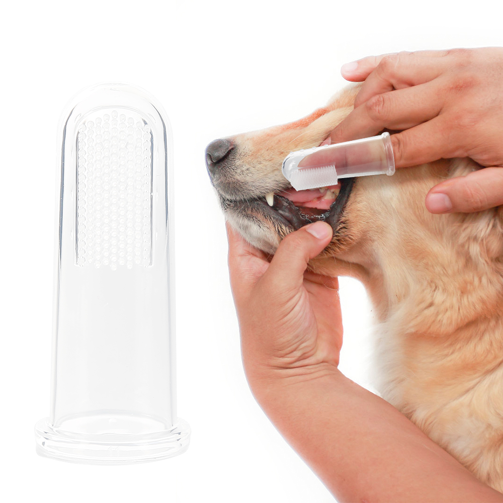 loronz dog toothbrush