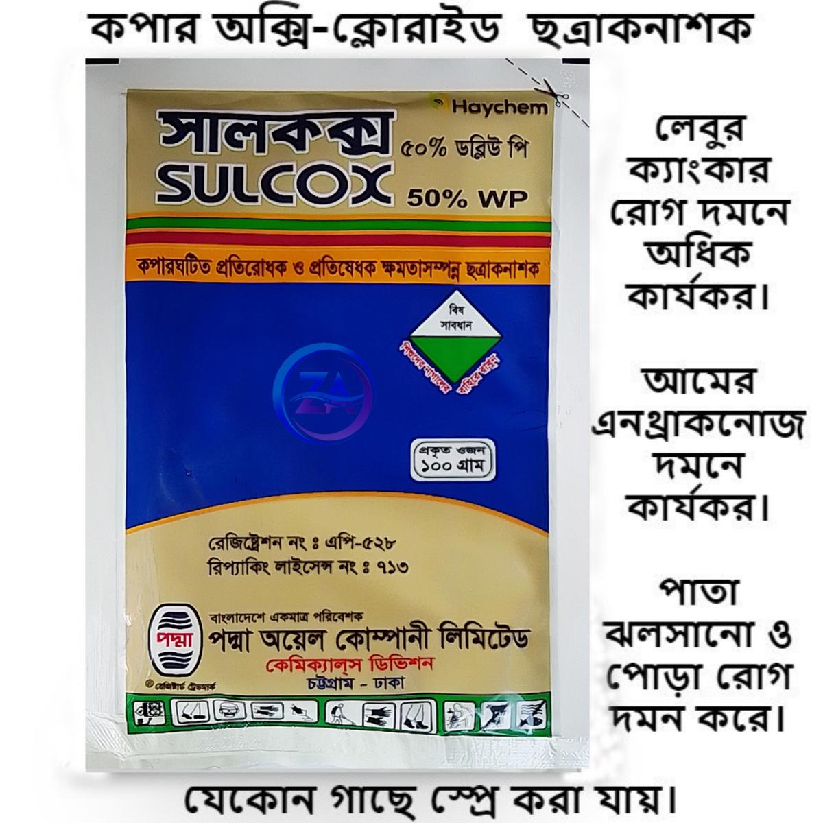 Erotik qaynona jinsiy aloqa