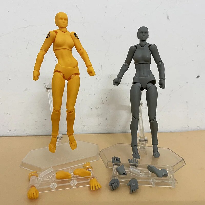 BODY KUN BODY CHAN Action Figure Figma Archetype He She Ferrite Collectible Model Toy with Stand Doll. 