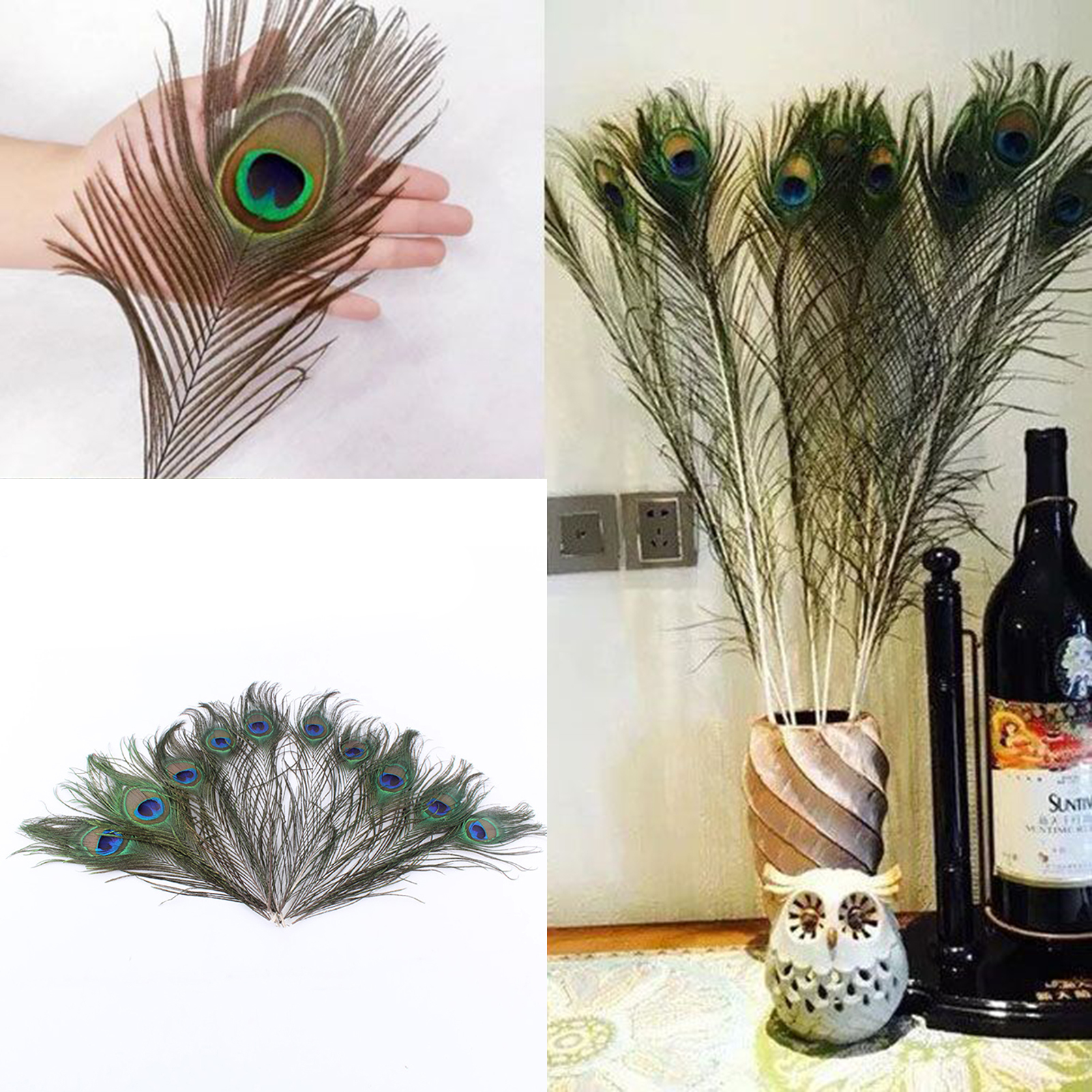 Peacock Tail Feathers Unique Peacock Body Feathers. 