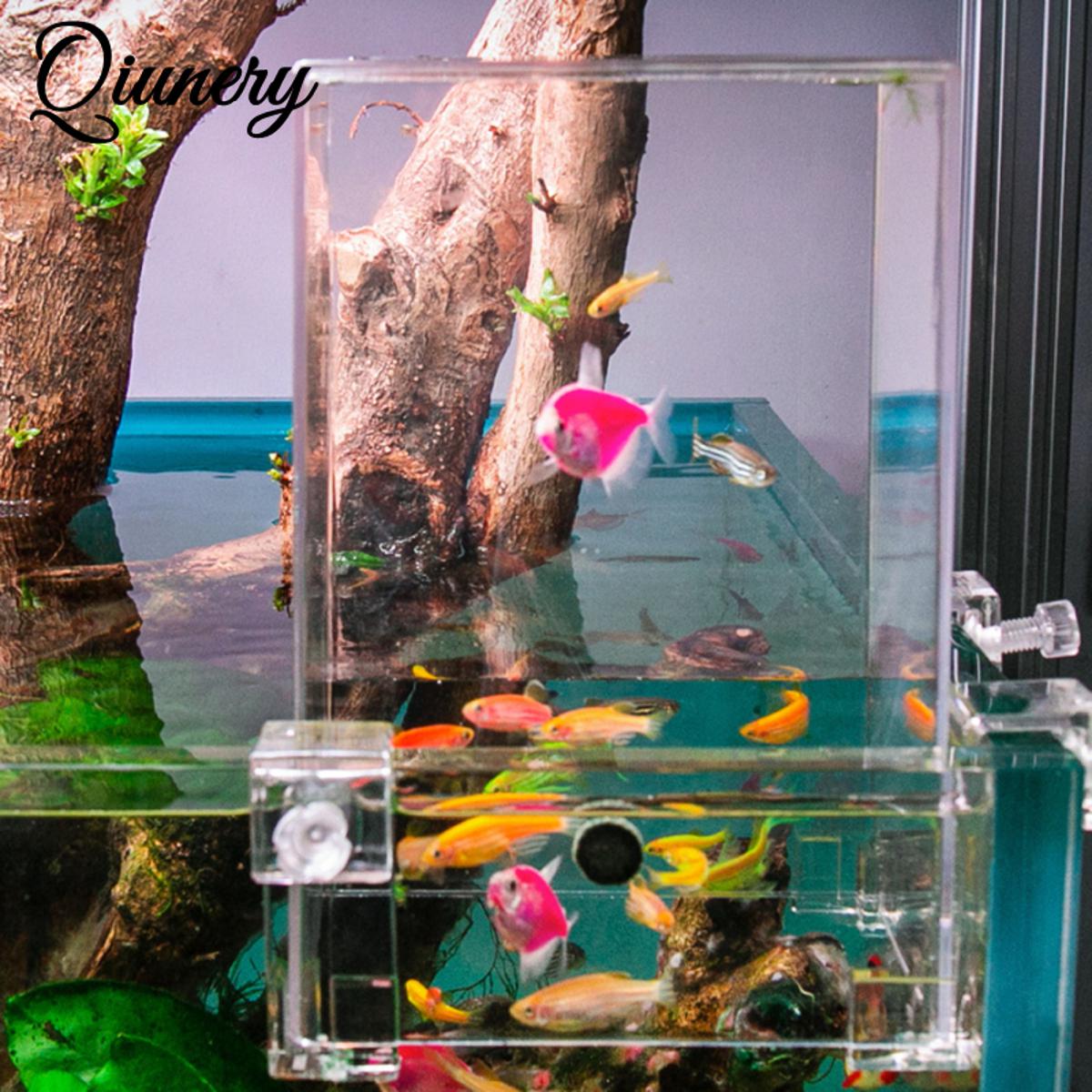 Acrylic Fish Tower Aerial Extender Fish Tank For Ecological Landscaping Convenient Observation Viewing Area Increase Bigger Space