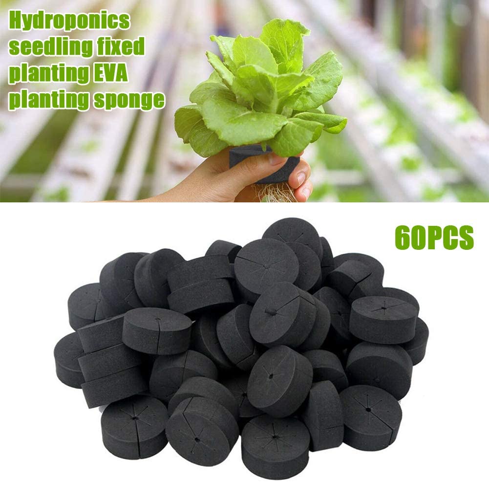 collars, vegetable grade foam inserts, hydroponic system, balcony germinate in DIY cloning machine and cloning machine (black). 
