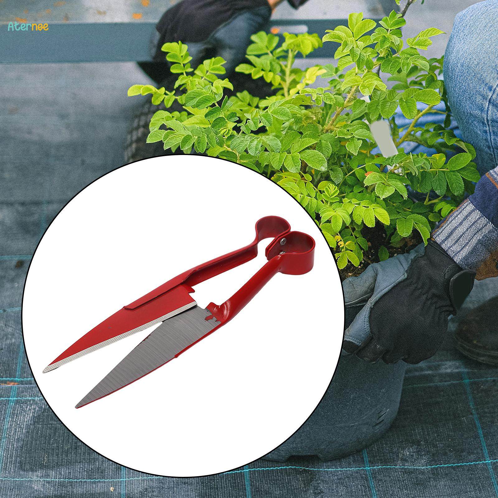 Garden Pruning Shear, Alpaca Shear, 10.24'' Gardening Gadget Nonslip Multipurpose Garden Prune Hand Pruning Shear for Park Bonsai Farm Home. 