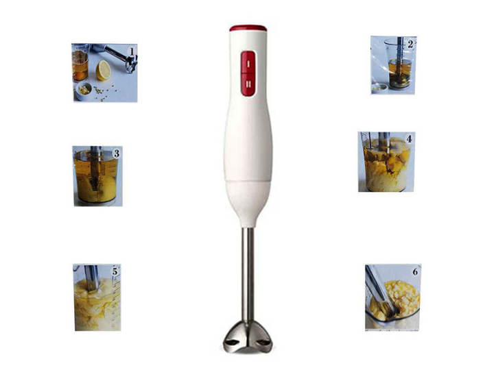 hand blender miyako