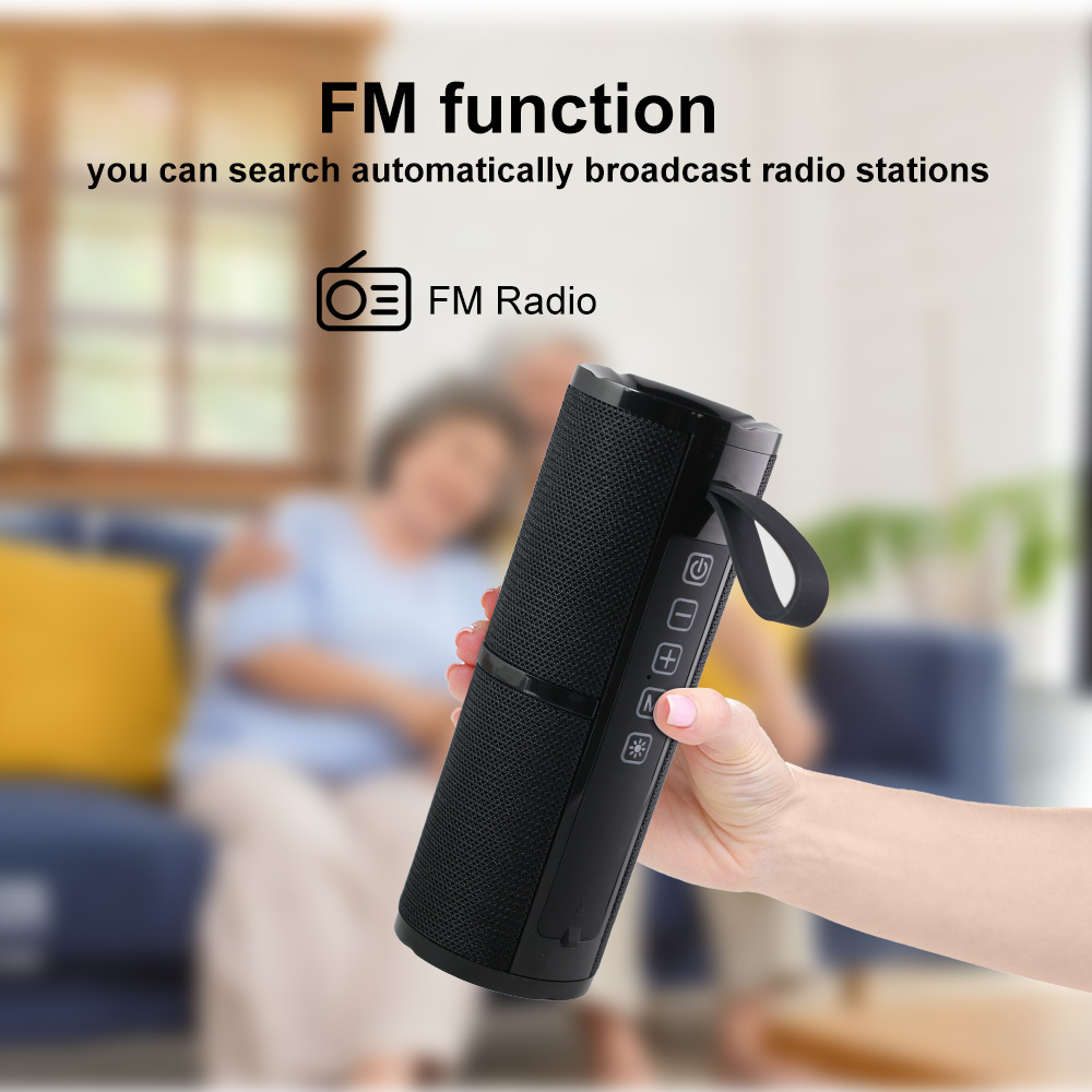 WISE TIGER FM Radio Speaker Bluetooth Speaker BT5.3 Portable Bluetooth Speaker with RGB Light USB TF Card Slot 10W TWS Dual Pair. 