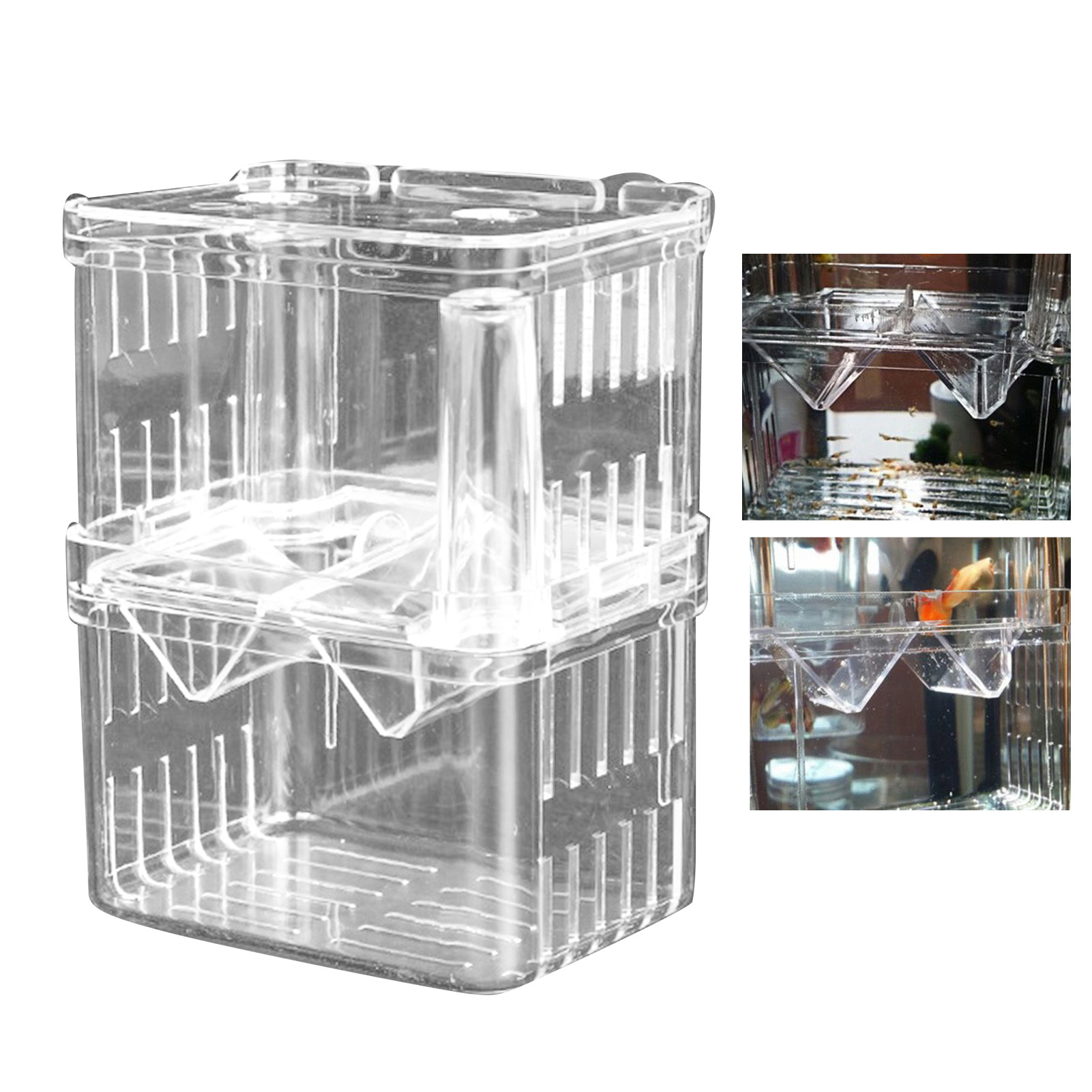 【Xiaofeng】Breeding Tank Versatile Aquarium Isolation Box. 