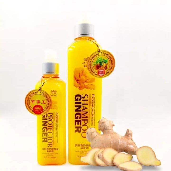 International China product Hair care Protector ginger shampoo 260 ml
