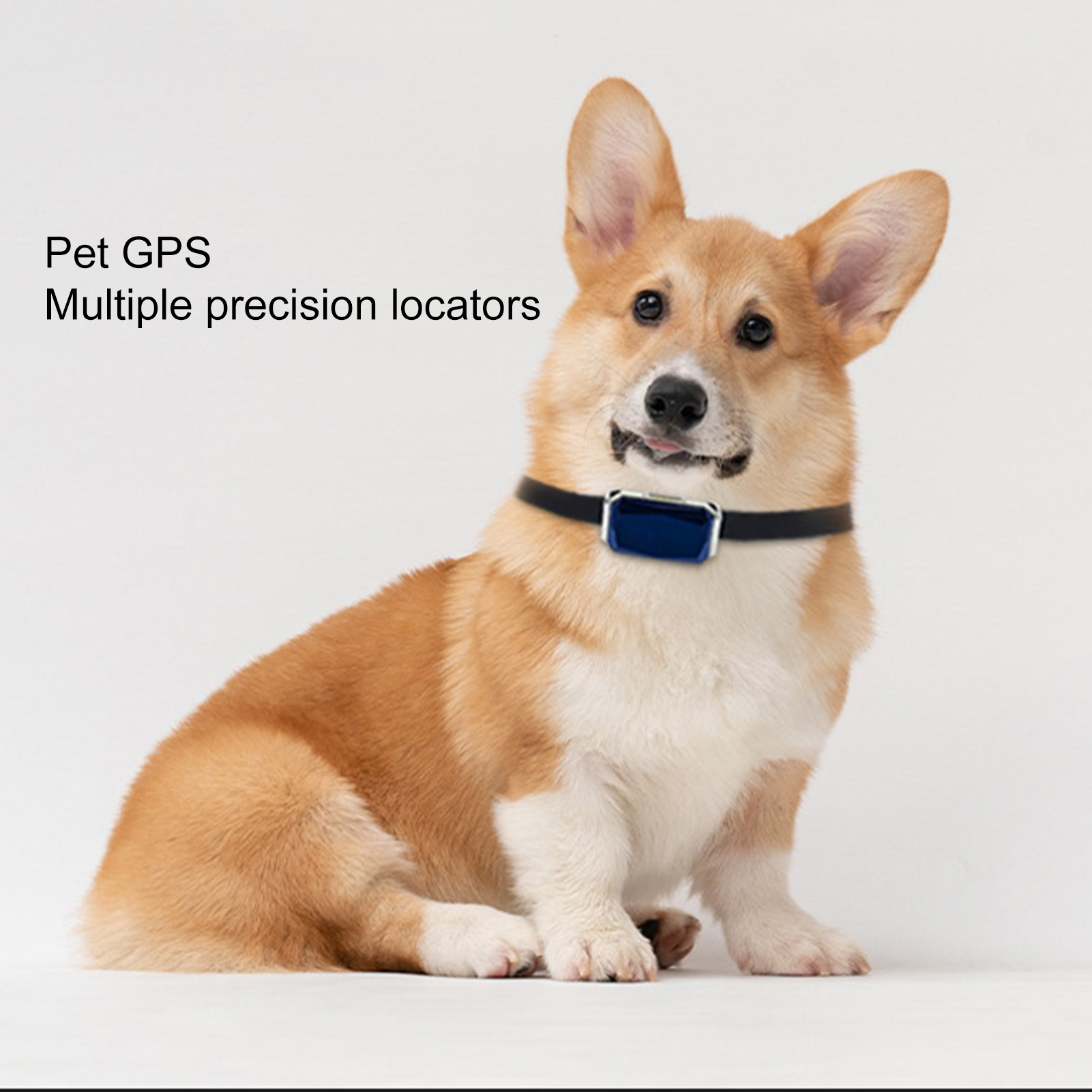Pet Tracker Live Tracking Real-Time Tracking Pet Dog Cat Locator. 