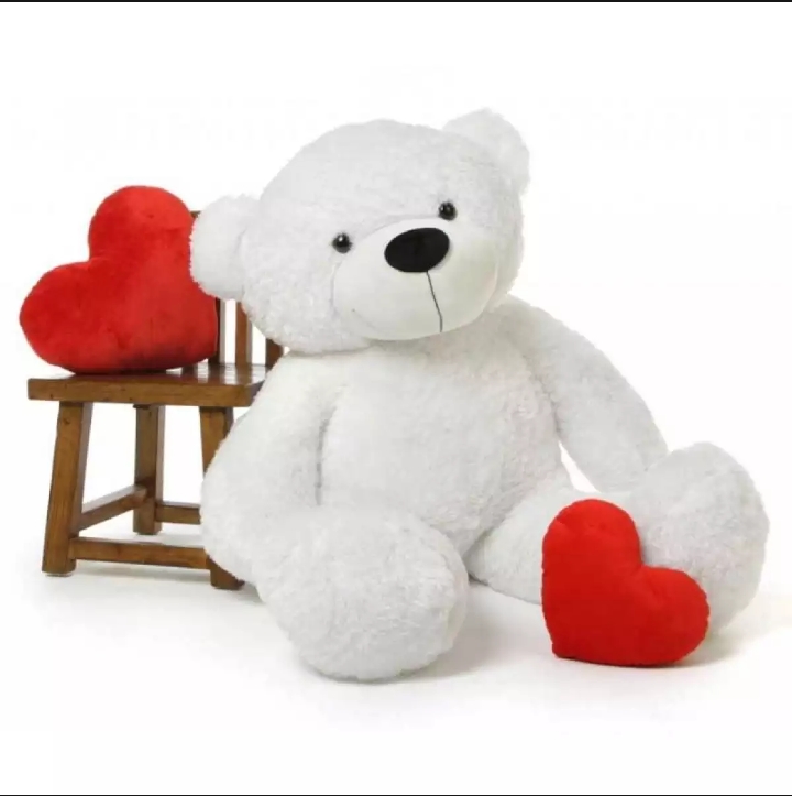 5 feet teddy bear at low price