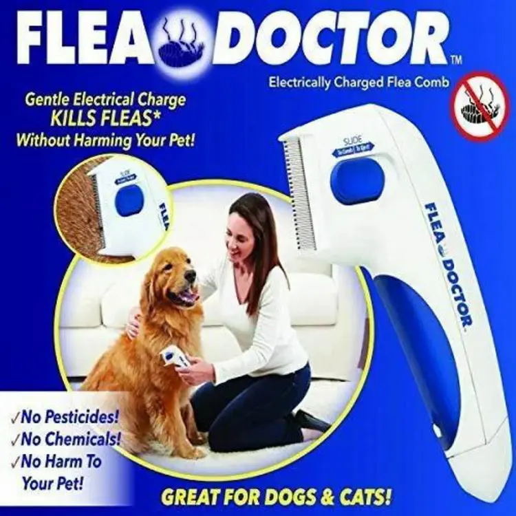 Electric flea comb pets at outlet home