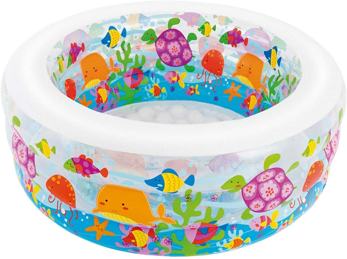 New Intex Aquarium Pool. 