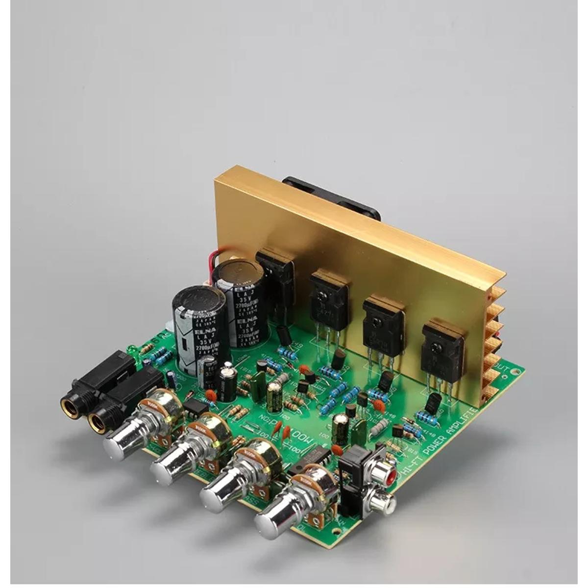 100 Watt HiFi Stereo Amplifier Circuit Board Karaoke With Microphone