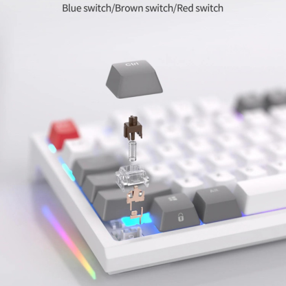 RK R87 ROYAL KLUDGE Wired Mechanical Keyboard 87 Keys RGB Backlit Hot Swap Gaming Keyboard Customised Keycaps with Dust Cover plug and play with computer or xbox or console. 