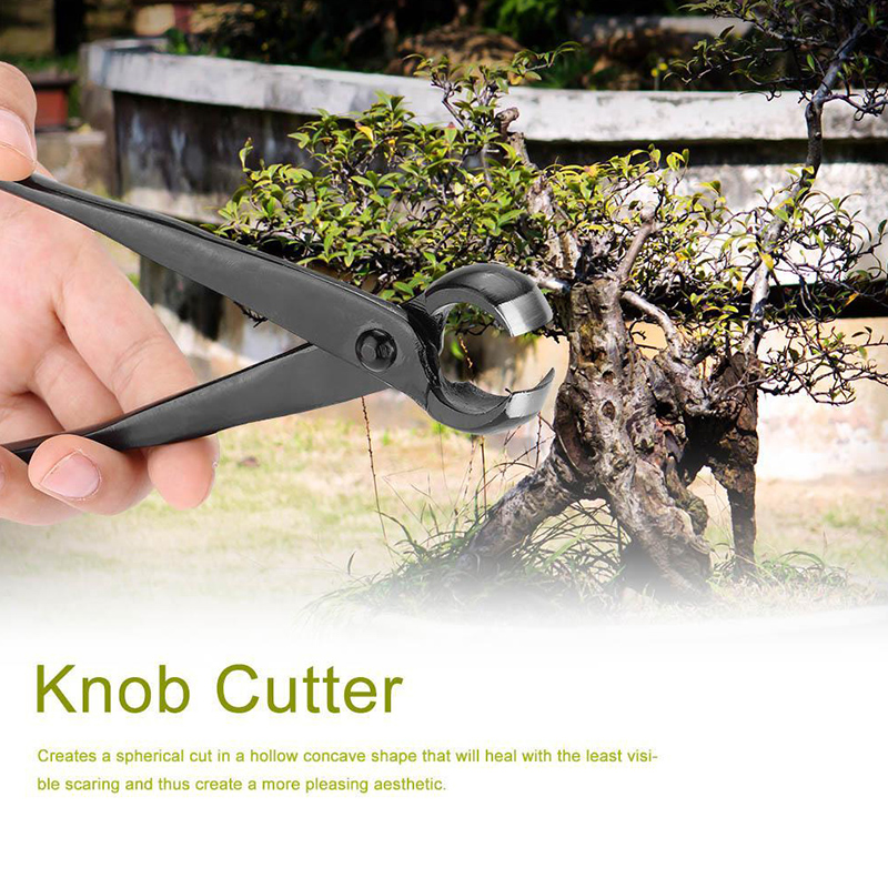 Round Edge Cutter Beginner Bonsai Tools Multi-Function Branch Cutter Knob Cutter BDM. 