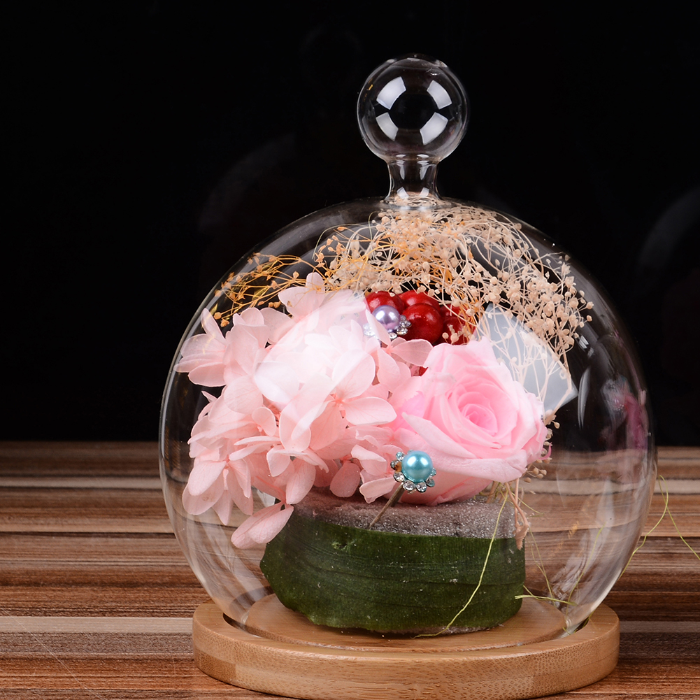 Glass Globe Display Dome Cover with Wood Base art Shape Handle e Decoration. 