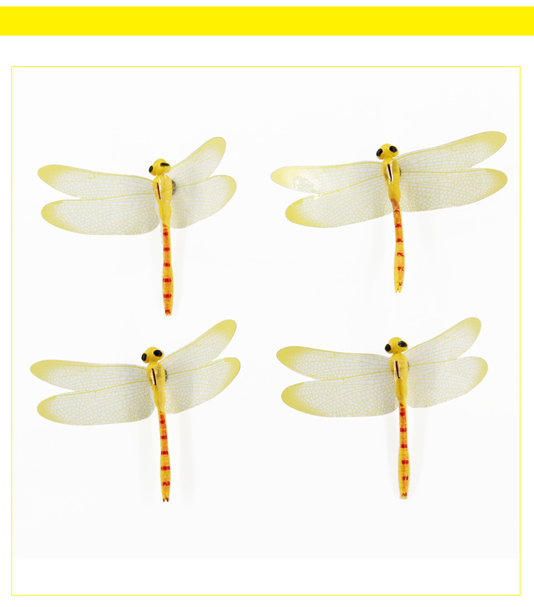 Butterfly 1_11.jpg