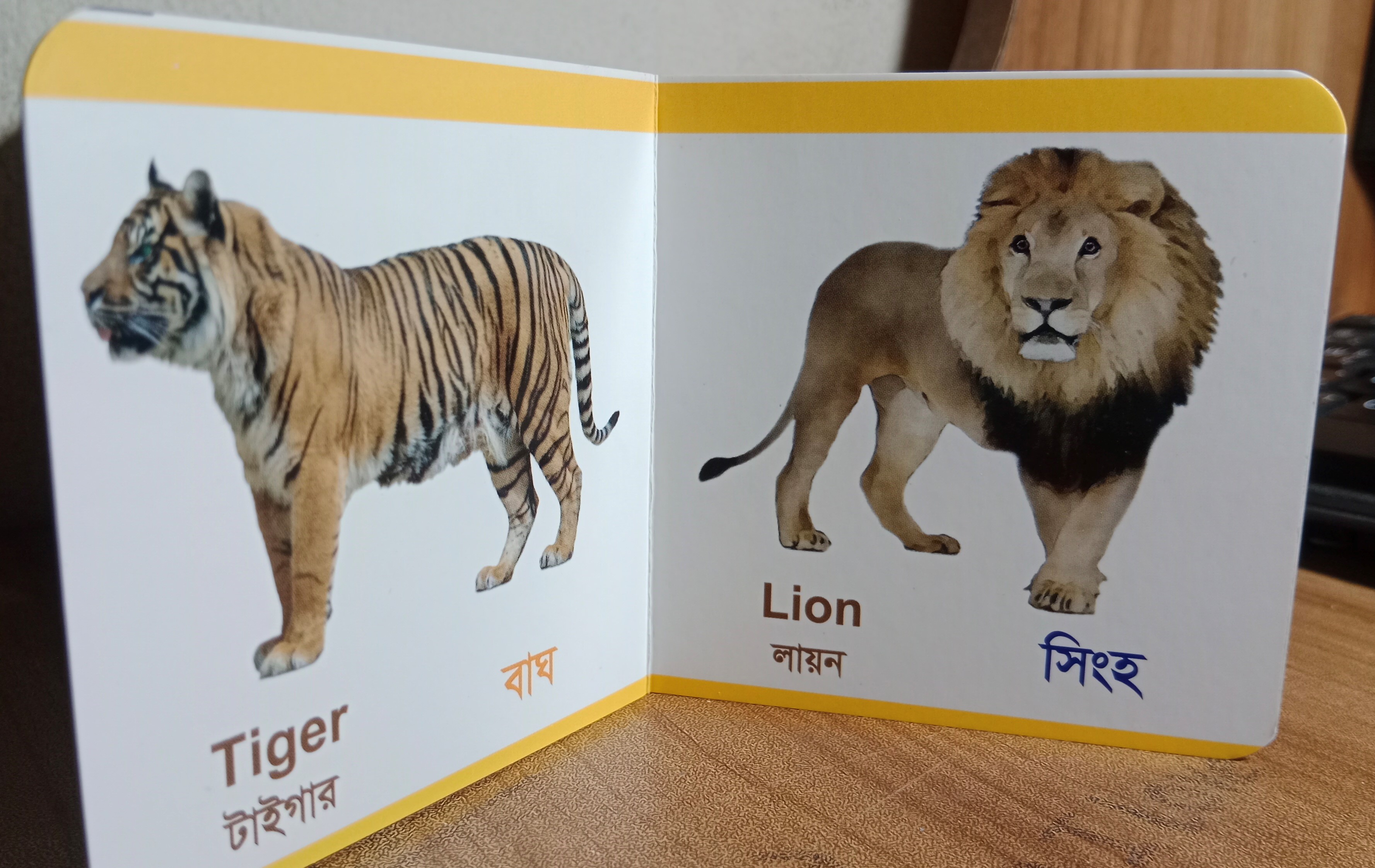 Tap of Kids with 12 Books - Boost Children's Knowledge and Talent with This Easy-to-Use Set - A Valuable Educational Choice. 