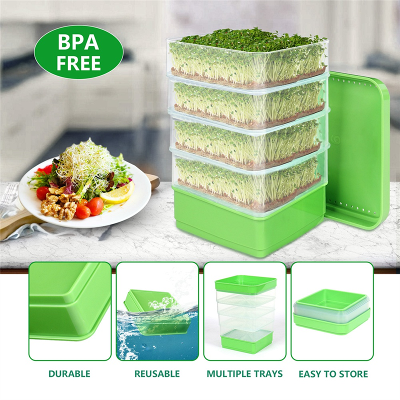 Bean Seed Germination Kit, Micro-Green Plant Growing Tray, Drain Tray, Four-Tier Stackable Sprout Growing Kit Easy to Use. 