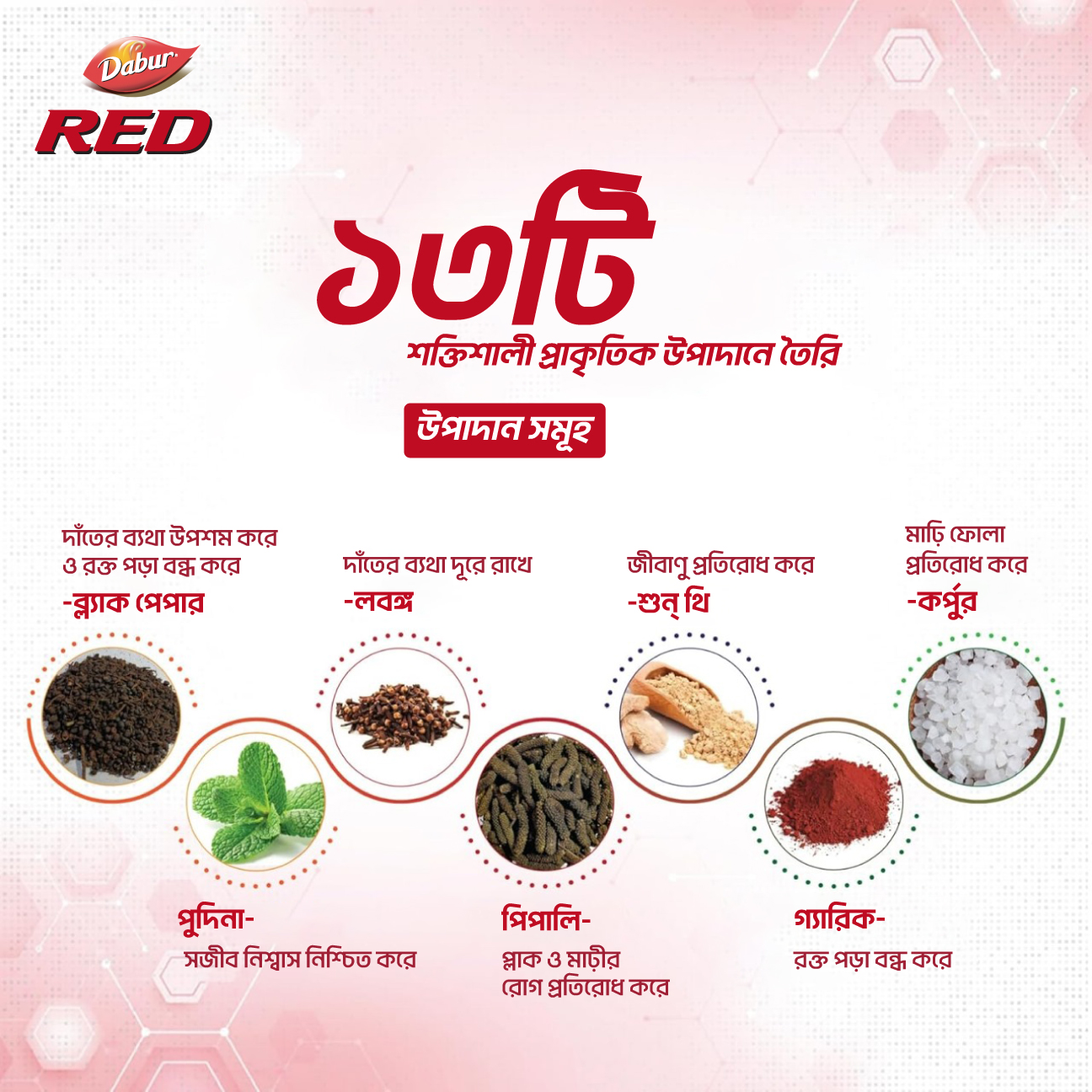Dabur Red Toothpaste 190 gm (Get Red Toothpaste 85 gm Free). 