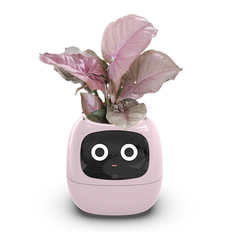 Ivy Smart Planter,USB Rechargeable Indoor Small Flower Pot for Indoor Decoration Make Raising Plant Easy and Fun White. 