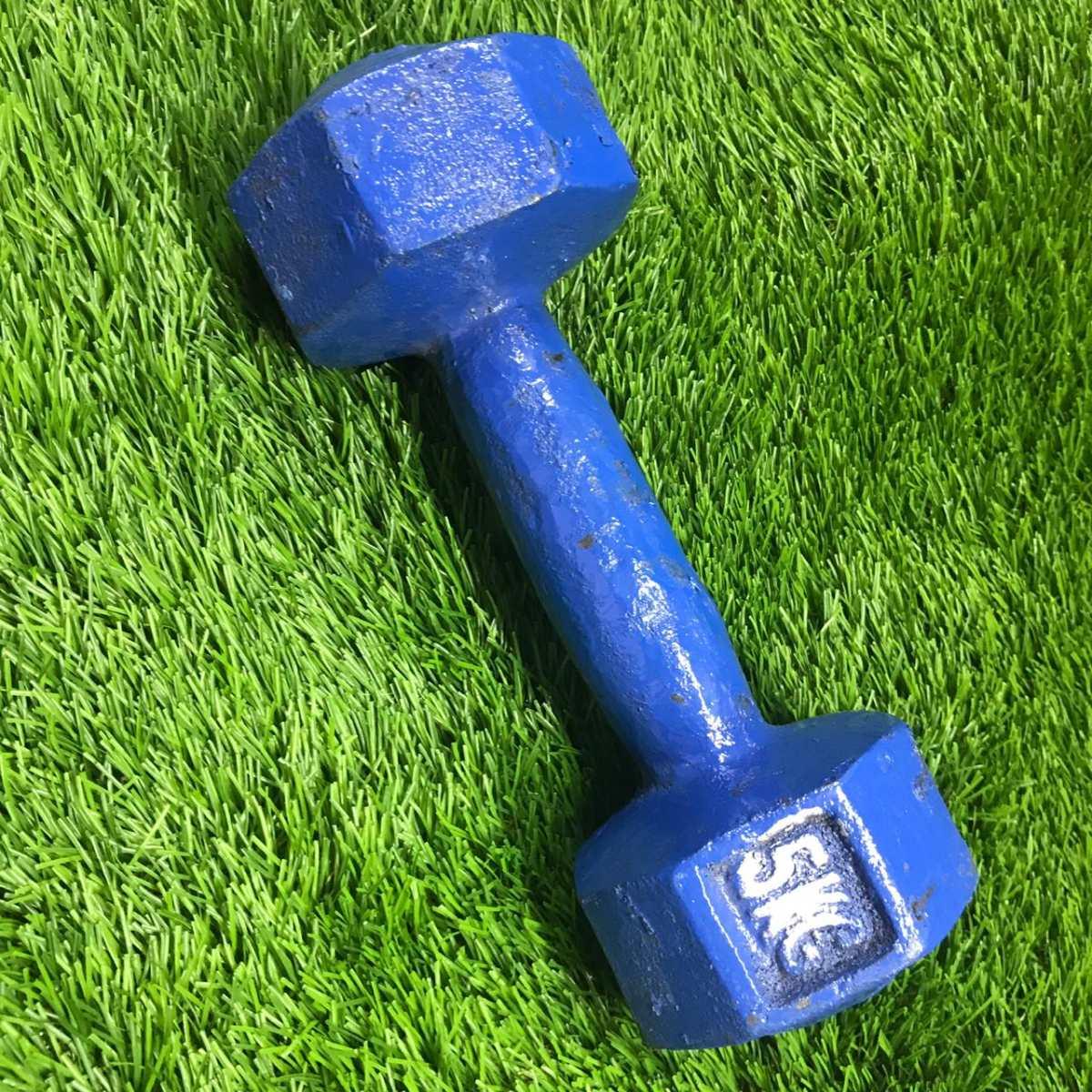 Dumbbell 5 kg daraz bd