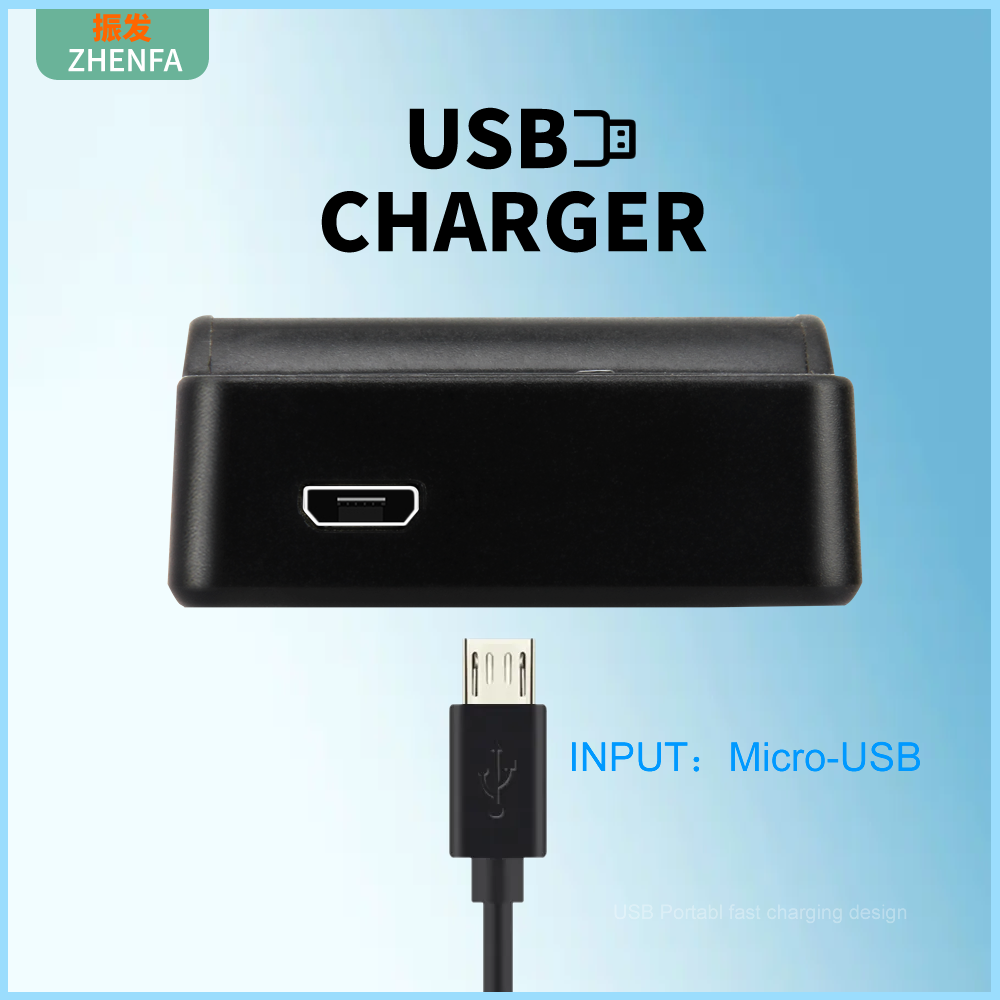 NP-FP30 NP-FP50 Battery Charger for SONY DCR-HC28 DCR-HC30 DCR-HC32 DCR-HC33 DCR-HC35 DCR-HC36 DCR-HC21 DCR-HC20 DCR-HC22 HC23. 