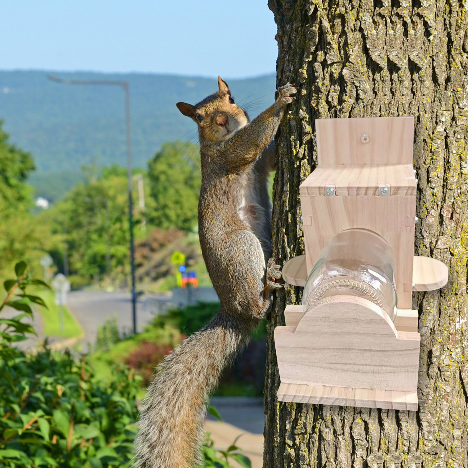 Wooden Squirrel Feeder Premium Glass Squirrel Feeder Easy Refill Weather-proof Garden Device for Outdoor Squirrel Feeding 500ml Capacity Easy Clean Squirrel Feeder. 
