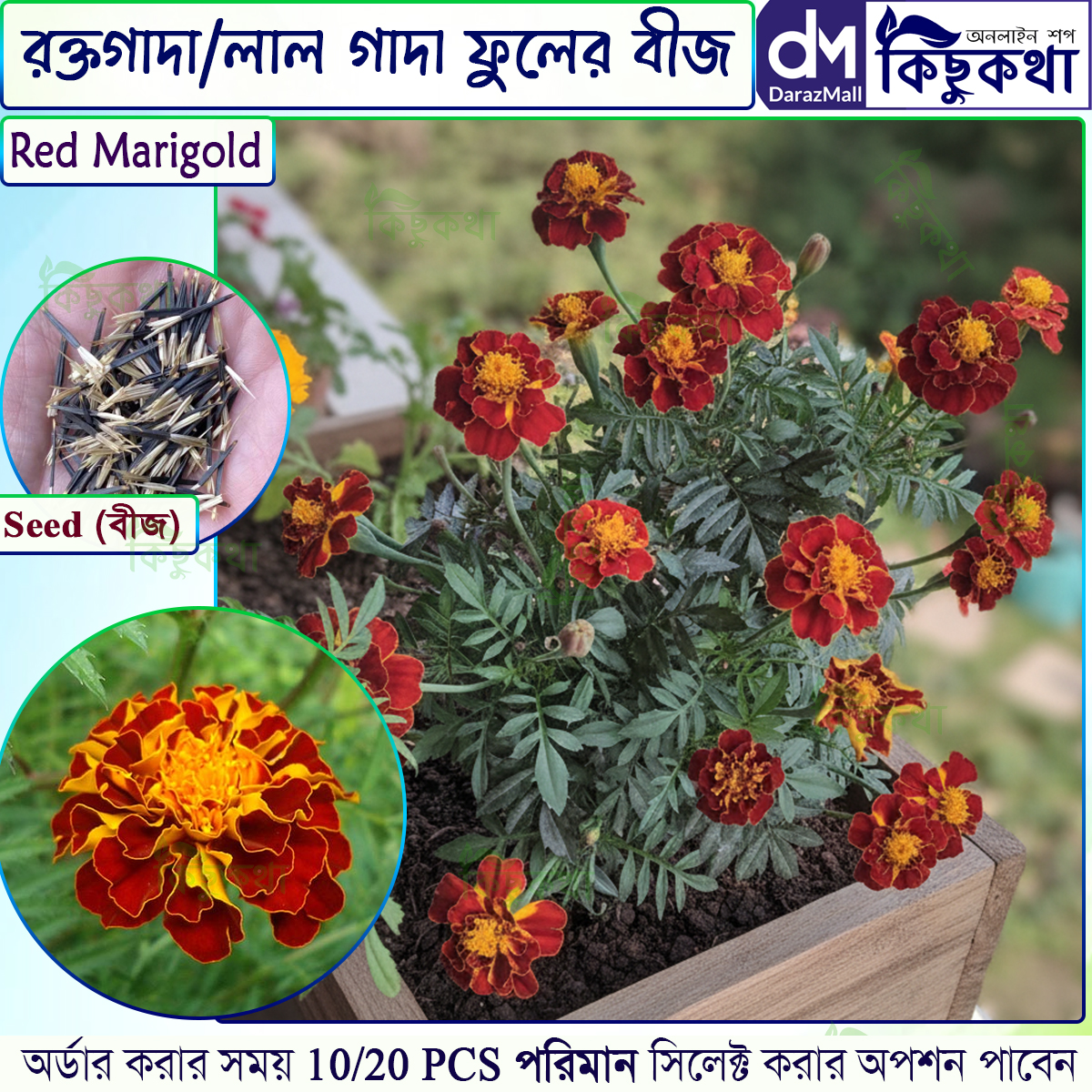 রক্ত গাদা/ Marigold Red Flower 10/20- pcs Seed - লাল কালার গাদা ফুল বা রক্তগাদা ফুলের বীজ