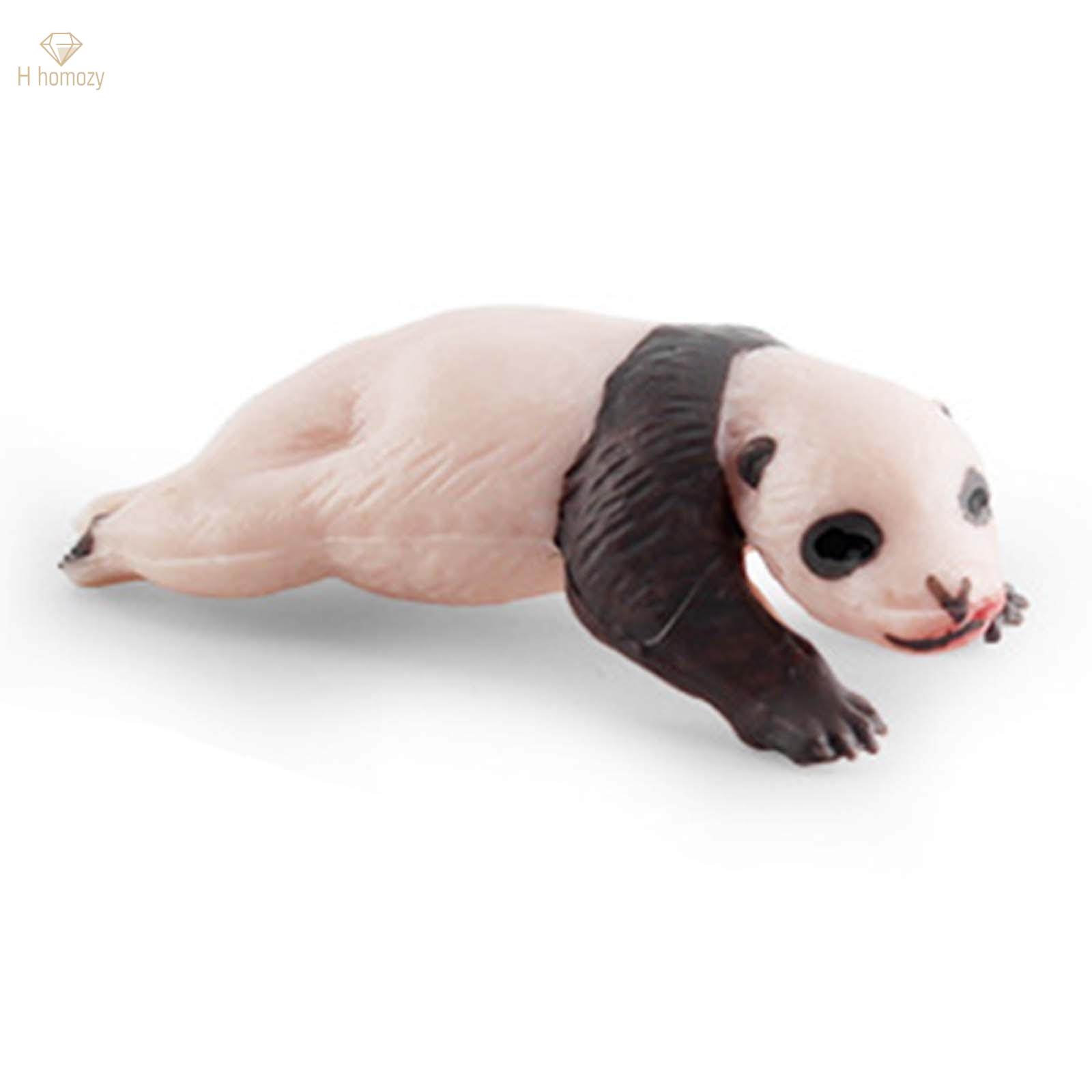 panda Model 4 Stages of Panda Playset Science Educational Toys Animal Growth Cycle Models. 