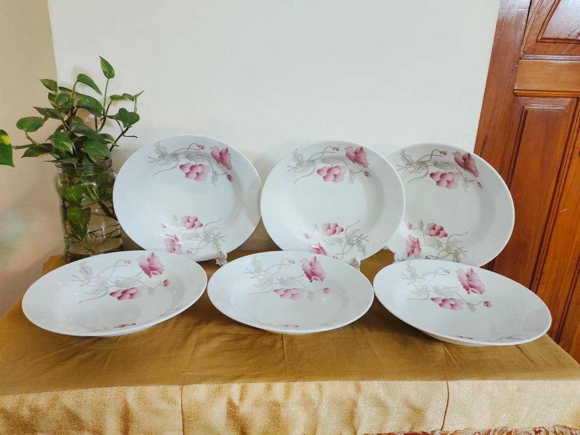 2-Piece Ceramic Dinner Plate Set White With Full Body Flower Print 9 Inch - Elevate Your Dining Experience With This Set Of Two Ceramic Dinner Plates Featuring A Charming Flower Print Design. 